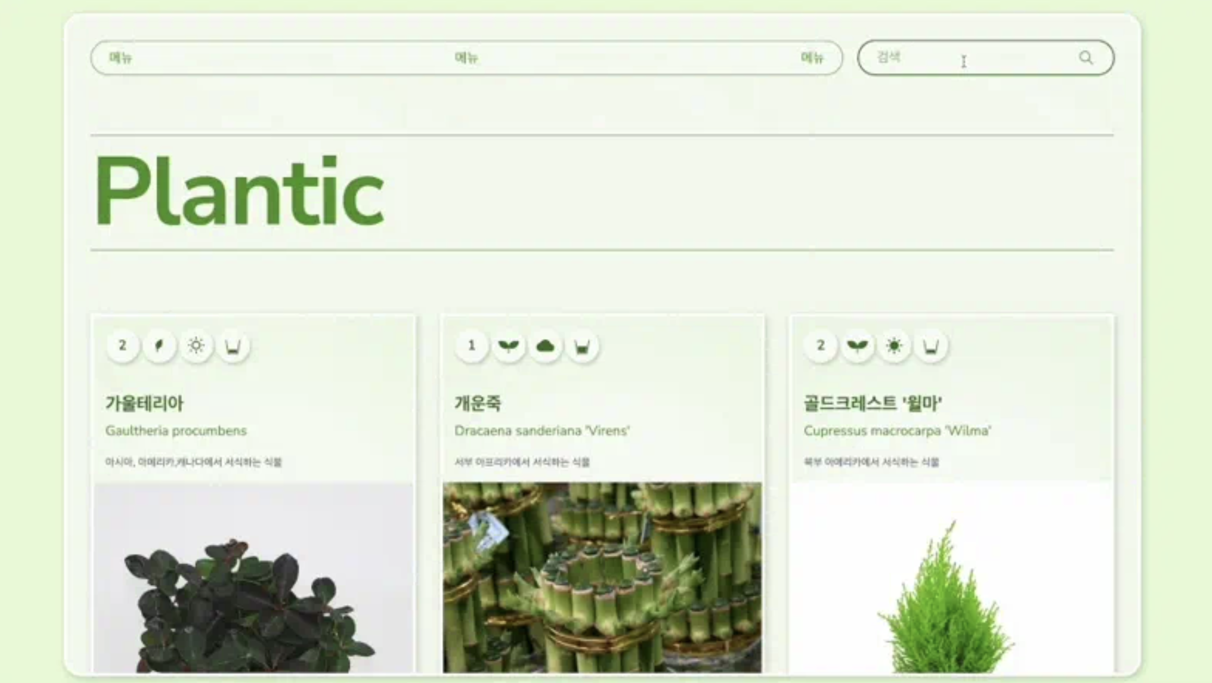 Plantic